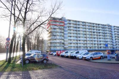 Woning Hofgeest 38 Amsterdam