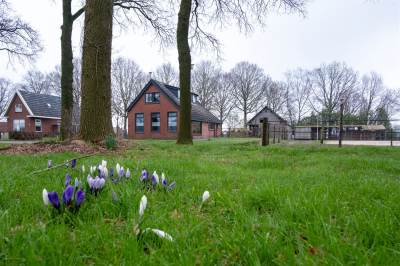 Woning Tonckensweg 5 Haule