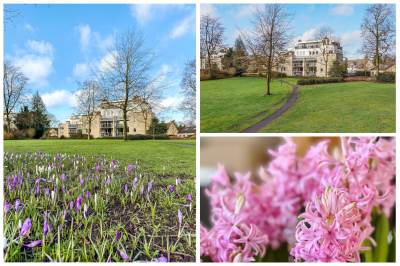 Woning Burgemeester Fabiuspark 177 Bilthoven