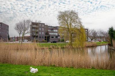 Woning Zuidersingel 16 Barendrecht