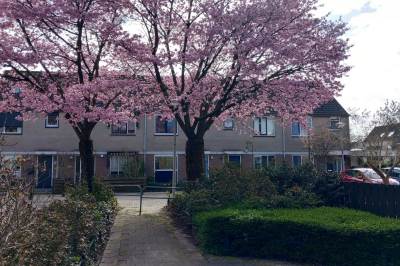 Woning Kwikstaarthof 28 Moordrecht