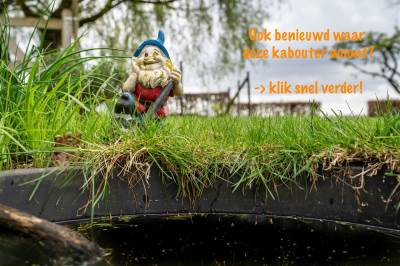 Woning Burgemeester Buiskoolweg 7 Sellingen