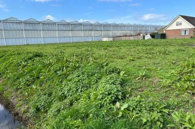 Bouwgrond Noord-Lierweg 24nabij De Lier