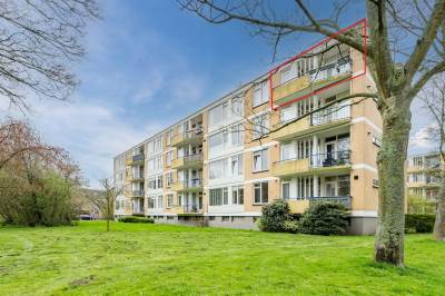 Woning Van Ostadelaan 94 Alkmaar
