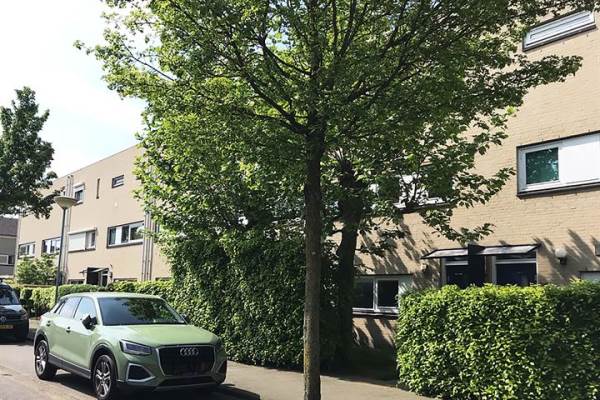 Woning Grote Vos 13 Breda