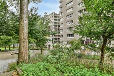 Woning Gouden Leeuw 247 Amsterdam