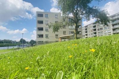 Woning Gekroonde Haringpad 64 Rotterdam