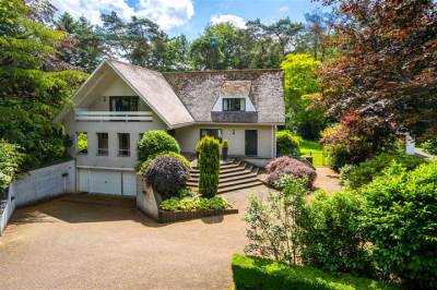 Woning Douglaslaan 8 Bosch en Duin