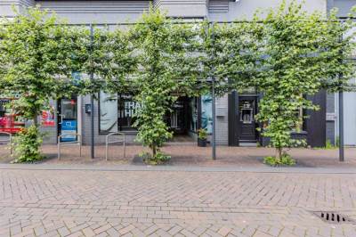 Woning Leijsenhoek 29 Oosterhout (NB)