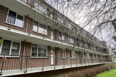 Woning Paltroklaan 53 Rotterdam