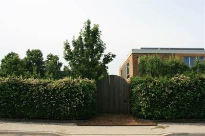 Woning Oude Heerweg 21 Blitterswijck