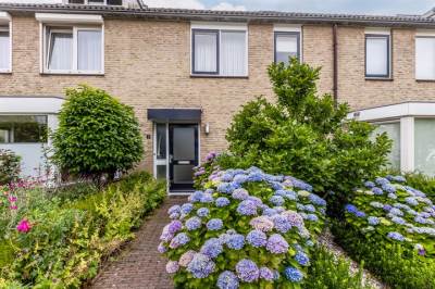 Woning Iepenhof 6 Malden
