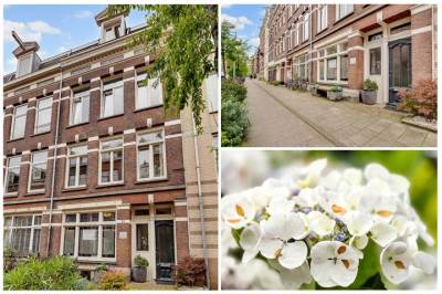 Woning Tweede Jan Steenstraat 35H Amsterdam