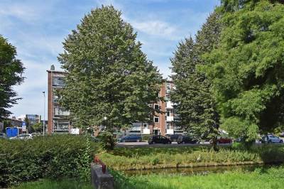 Woning Spinozalaan 89 Voorburg