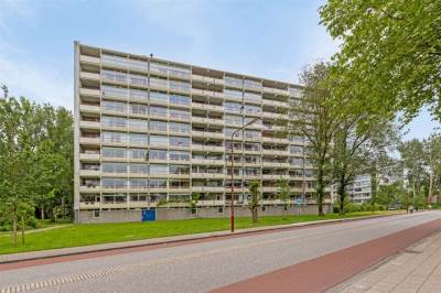 Woning Buizerd 84 Heerenveen
