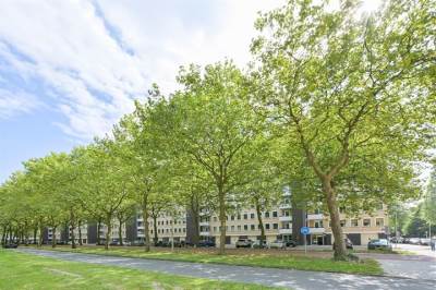 Woning Van Nijenrodeweg 174 Amsterdam