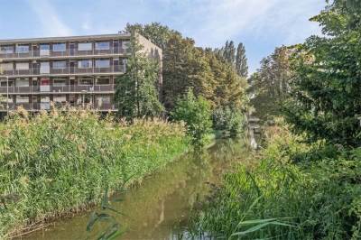 Woning Van Borselenstraat 68 Arnhem