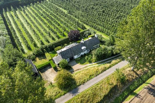 Woning Ruigendijk 10 Driewegen