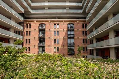 Woning Groenhoedenveem 23 Amsterdam