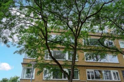 Woning Nobelstraat 13102 Rotterdam