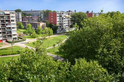 Woning Jozef Oreliosingel 325 Schiedam