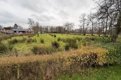 Woning Haadwei 146A Damwâld