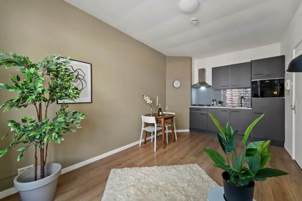 Woning Paets van Troostwijkstraat 243A Den Haag