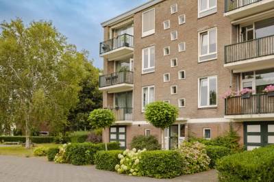 Woning Van Collemstraat 28I Haarlem