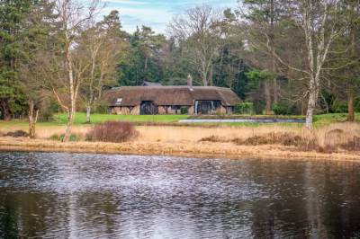 Woning Oudemolenseweg 4 Gasteren