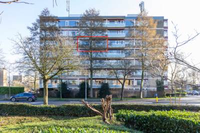 Woning Molengraaffplantsoen 23 Utrecht