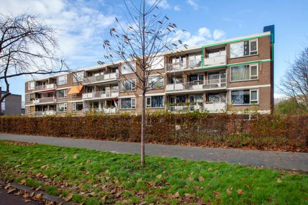 Woning Vredeman de Vriesstraat 18 Rotterdam