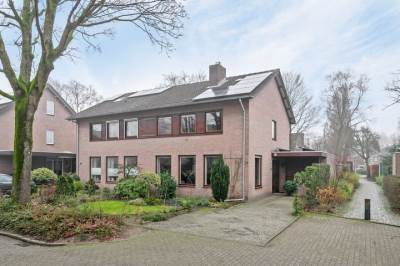 Woning Steltlopen 13 Best