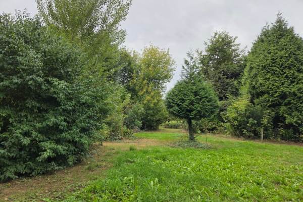 Bouwgrond Oude Maasdijk 24 Dreumel