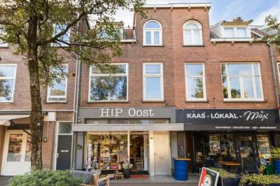 Woning Adriaen van Ostadelaan 63B Utrecht