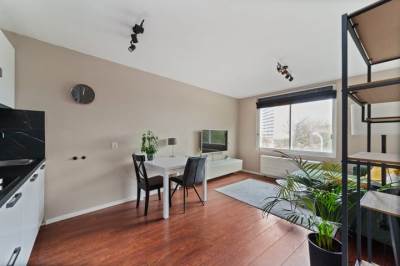 Woning Troelstrakade 895 Den Haag