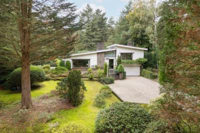 Woning Mesdaglaan 5 Bosch en Duin