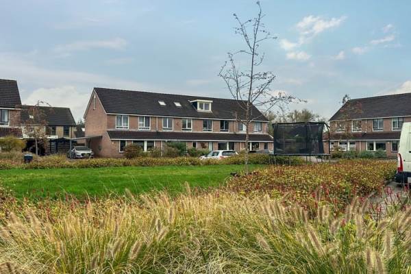 Woning Kamille 23 Roden