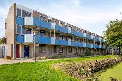 Woning Korenbloem 37 Zwaag