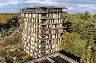 Woning Bosbeshof 91 Ede