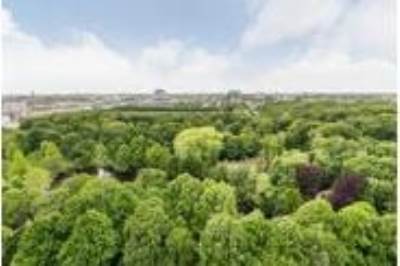 Woning Bezuidenhoutseweg 6573 Den Haag