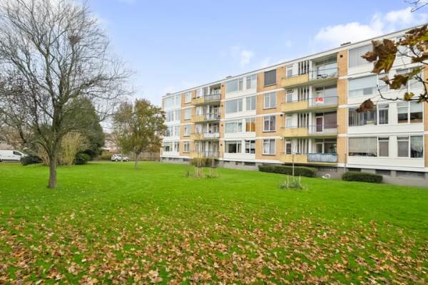 Woning Van Ostadelaan 140 Alkmaar