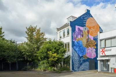 Woning Hoge Steenweg 17 Breda