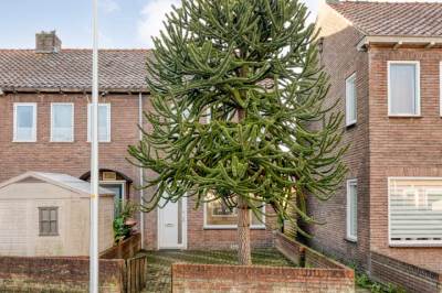 Woning Zwaluwenstraat 29 Almelo