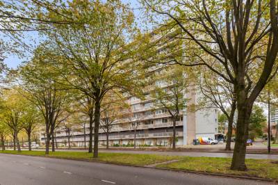 Woning Holysingel 242 Vlaardingen