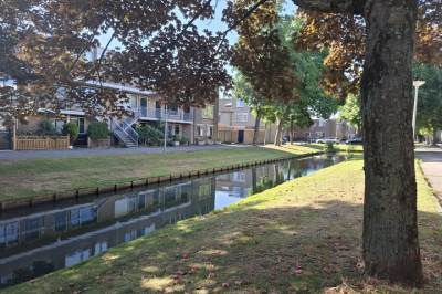 Woning Alerdincksingel 65 Rotterdam