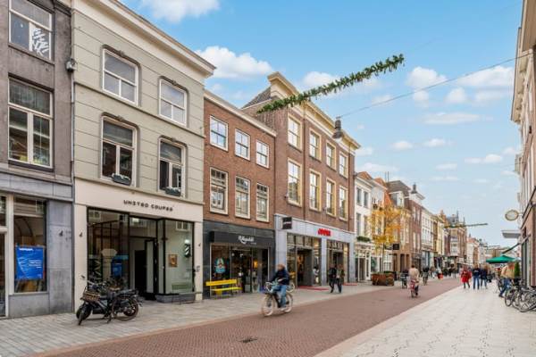 Woning Hinthamerstraat 67B Den Bosch