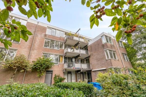 Woning Pieter Nieuwlandstraat 6B Amsterdam
