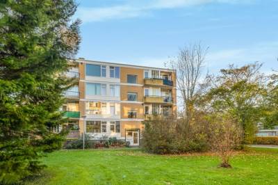 Woning Van Ostadelaan 84 Alkmaar