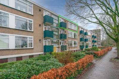 Woning Terborchlaan 137 Alkmaar