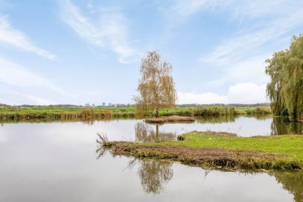 Woning Parelduikersingel 33 Den Haag
